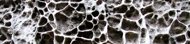 Sandsteinwaben im Kirnitzschtal
