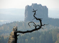 Brosinnadel vorm Falkenstein Brosinnadel vorm Falkenstein