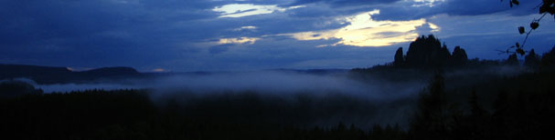 Rauschenstein im Nebel