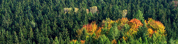 Herbst in der Sächsischen Schweiz Herbst in der Sächsischen Schweiz