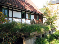 Schaf auf dem Schleppdach Schaf auf dem Schleppdach